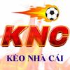 kèo nhà cái trực tiếp