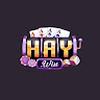 HAYWIN