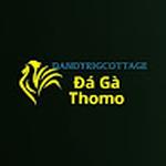 Đá Gà Trực Tiếp Thomo
