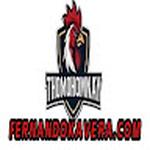 Thomo Trực Tiếp Đá Gà Có Bình Luận Viên