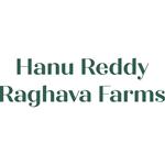 hanureddyraghava farms