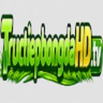 Trực Tiếp Bóng Đá