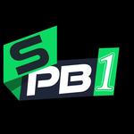SPB808 Portal game