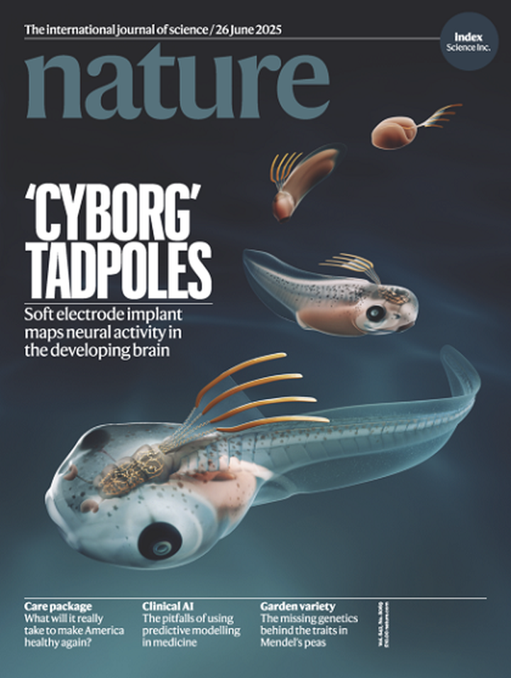 SciNat за июнь 2025 #5: чудеса регенерации, свиньи-доноры и эволюция кальмаров