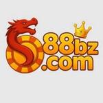 88I BZ 88ibzcom1