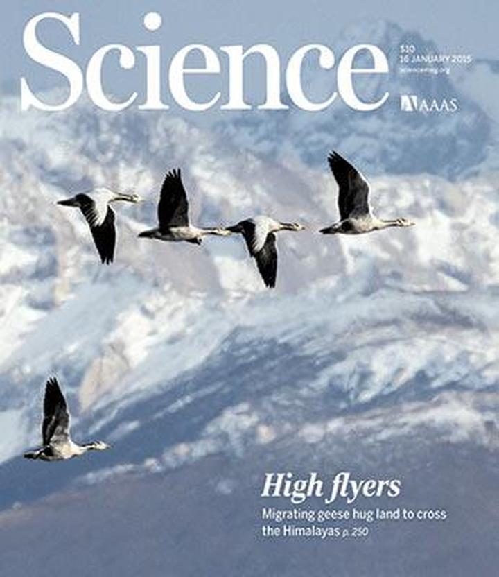 Science #347(6219): горные гуси над Гималаями, сумасшедшая микроскопия и вакцина, которая не работает