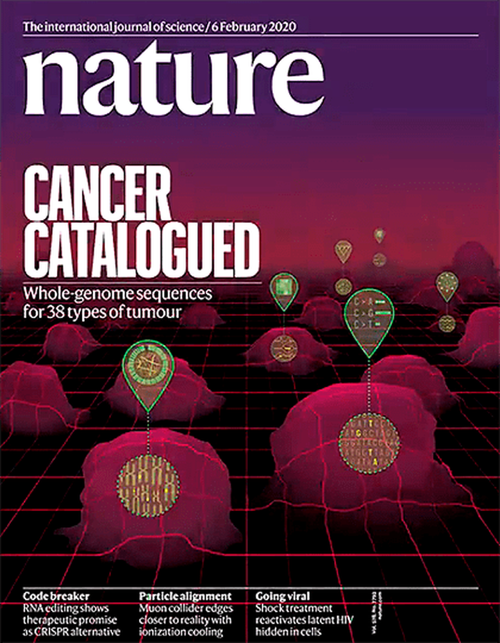 SciNat за февраль 2020 #1: геномика рака, страсти по коронавирусу и вымирание шмелей