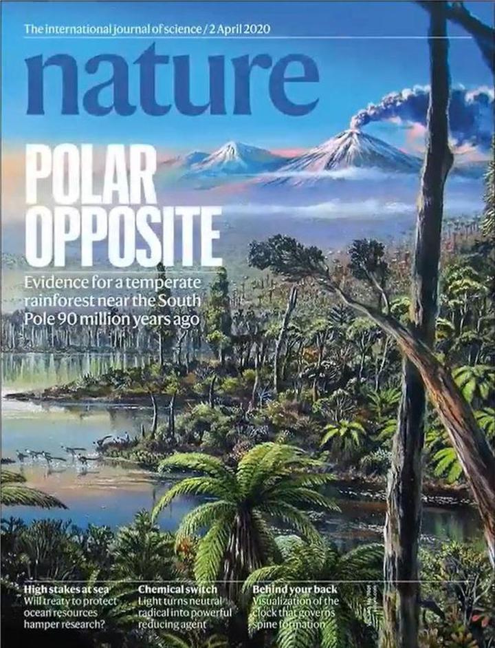 SciNat за апрель 2020 #1: джунгли в Антарктиде, антитела к SARS-CoV и протеомика зубов древних людей