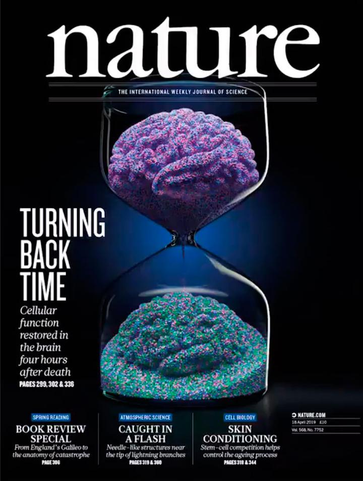 SciNat за апрель 2019 #3: поддержание жизни мозга умершей свиньи, регуляция иммунного ответа в кишечнике и детекция ошибок CRISPR