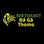 Đá Gà Trực Tiếp Thomo