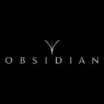 Obsidian Needles