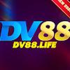 dv88 life