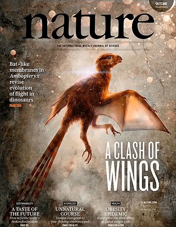 SciNat за май 2019 #2: пушистый птерозавр, золотоносный белок и рыбий глаз