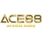 ace88