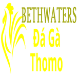 Đá Gà Trực Tiếp Thomo