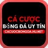 Cá cược bóng đá