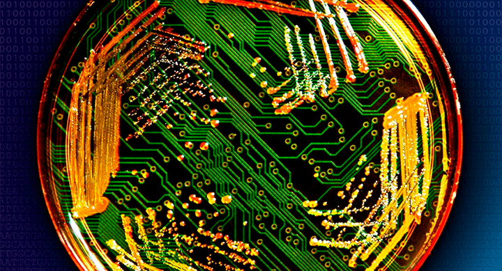 Синтетическая биология: от программирования компьютеров к программированию клеток