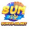 SUMVIP