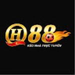 Giải Trí Trực Tuyến QH88