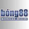 Bong88 Miami