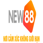 New88blog