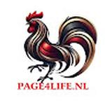 ĐÁ GÀ THOMO PAGE4LIFE