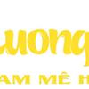 Truongkhoi37838@gmail.com