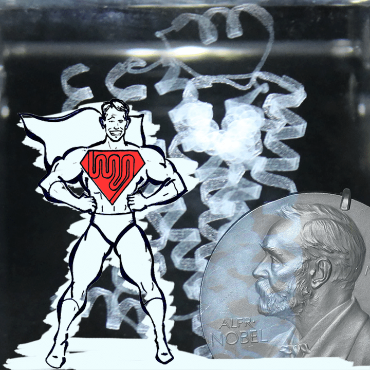 Нобелевская премия по химии (2012): за рецепторы наших первого, третьего и четвертого чувств