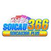 Soicau366