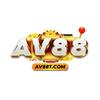 AV88 ..