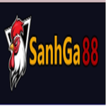 Sanhga88 store