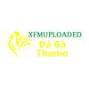 Đá Gà Trực Tiếp Thomo