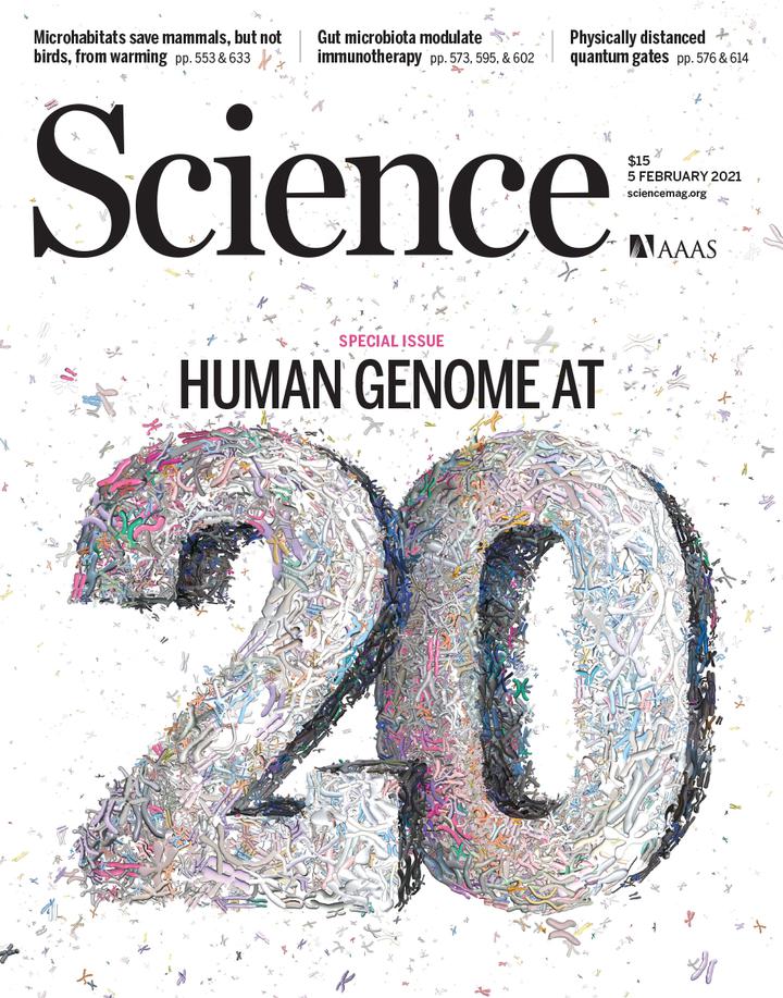 SciNat за февраль 2021 #1: деление митохондрий, иммунитет к COVID-19 и инфламмасома против протеазы ВИЧ-1