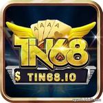 TIN68 IO