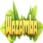 Wazamba Casino