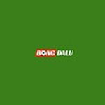 Bongdalu tv