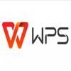 WPS22