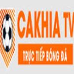 bickellfoundation org giả mạo