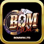bomwin ltd