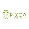 Pixca Greens