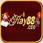 Hay88 Ceo