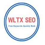 WPSQM Wordpress Speed Optimization S