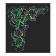 «Биомолекула» на конференции в Новосибирске