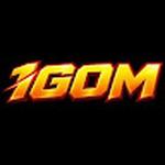 1GOM 1GOM