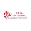 Đá Gà Trực Tiếp