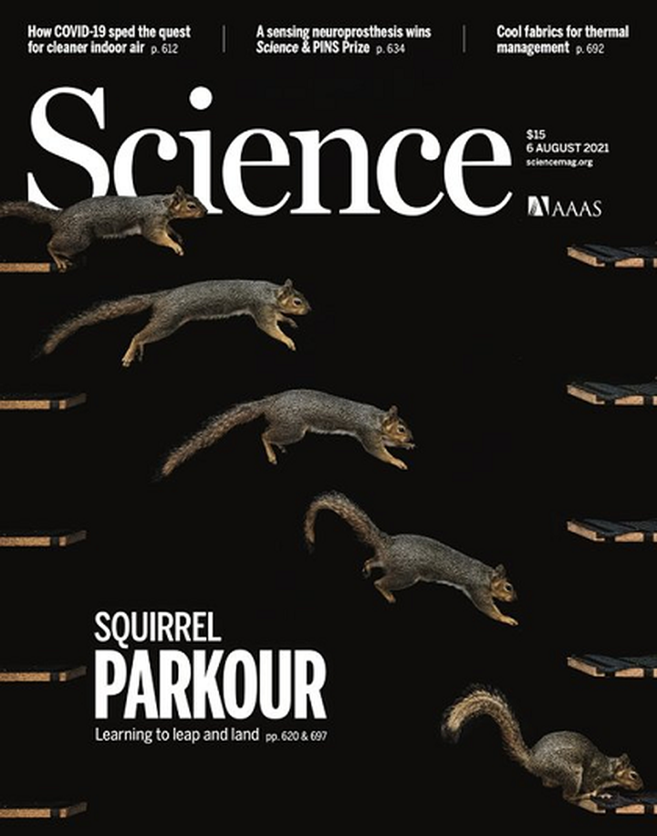 SciNat за август 2021 #2: беличий паркур, обоняние насекомых и новые варианты SARS-CoV-2