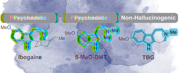 Фармакофоры нейропластичности