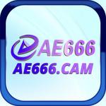 AE666 CAM