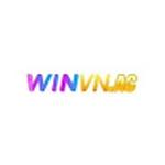WINVN