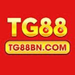 tg88 com